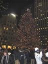 Rockefeller Tree