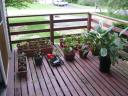 My porch garden