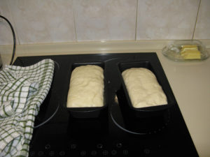 First loaves of bread made by hand raising on our stove