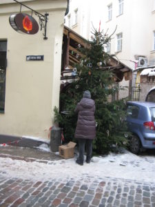 On one of the side streets a woman was putting pretzels on a tree - perhaps for the birds.
