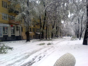 This is heading toward our office - you can see there is much more snow than near our apartment and many branches are down.