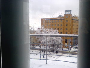 You can see how the trees are weighed down with snow.