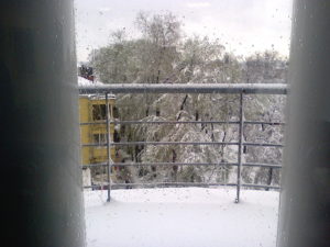 More trees and snow.