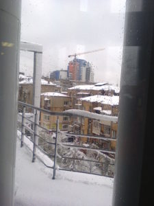 The street in front of our office - usually very busy with lots of traffic but now closed with trees and power lines down.