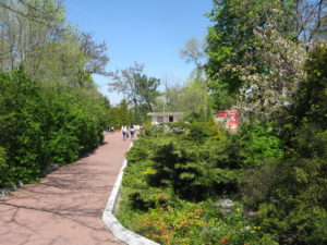 "Going to the chapel"