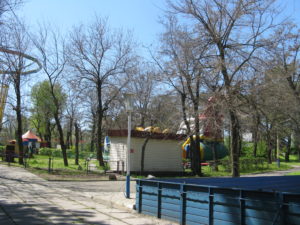 A pool (the blue wall) that looks like it might be for like seals or other water animals - there are bleachers to sit on and a stairway in the pool.