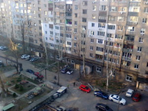 The view from our floor stairway of trees really lopped in our development.