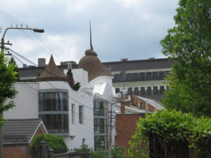 I titled this a Domed Doma. We think the roof is very interesting.