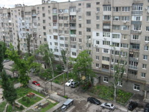 So here you see (from our stair balcony) the lopped off trees are growing.
