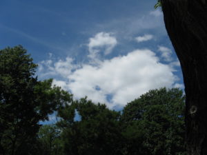 The sky was so beautiful I just took a picture.