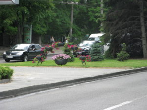 Not far from where we started walking the road was divided by a very nice island along the middle. There were several flower groupings and the grass was actually being watered. We haven't see that anywhere else. Since we were heading toward the University and the Botanical Gardens perhaps this is all part of that.