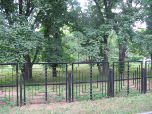 A view into the gardens - there appear to be pathways and lots growing.