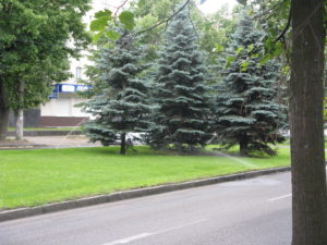 More lawn sprinklers.