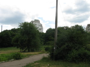 As we walked back in we could see many walking apparently through the woods so we walked along to see what was there. There seem to be tall buildings in the back. Perhaps campus housing?