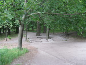 So now we went back into the woods.