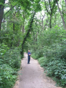 There were so many birds singing we stopped to see if we could see them. We were not successful but it was enjoyable to listen to the variety of voices.