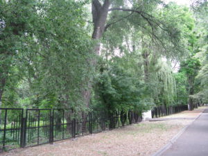 All too soon we were back on the road we went in on but farther along the way.