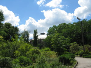 The Atrium at a distance.