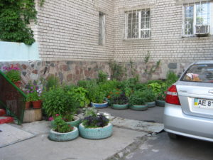 I have put up pictures of these tire planters. This is a picture of number one Polia (we are at number two) and their planters. The woman we mostly see here is oftne out working in her garden, watering, weeding and planting more.