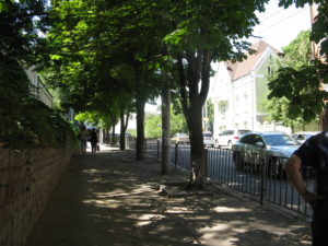 A view up the last of the hill.