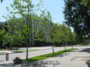 Then there are several official office buildings. They are very nice buildings and very well landscaped. I was careful taking pictures as we are not to take pictures of government buildings.