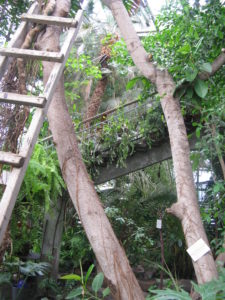 Our first look inside.