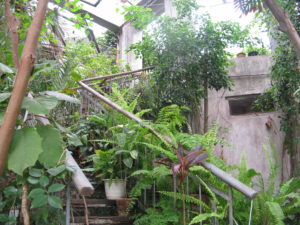 It is another world inside.