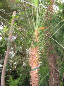 So much to see. I am just going to upload pictures with a comment here and there.