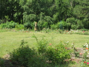 Here is a rose garden perhaps protected by the statue standing out there.