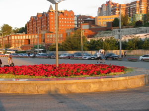 As we entered the walkway I was struck but the brilliance of these geraniums. It was the light that was hitting them - they are a brilliant red but the light really set them off.