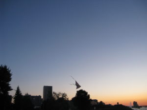 A young family was flying a little kite.